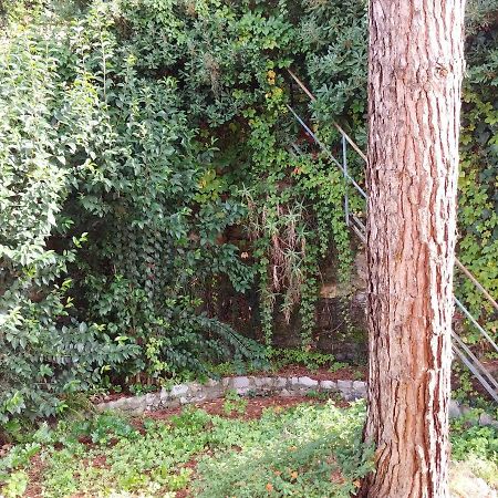Apartamento Casa Tina Santa Margherita Ligure Exterior foto